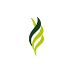 Kenko Light iOS Icon