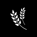 Country Grocers iOS Icon