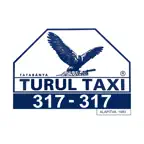 Turul Taxi Tatabánya iOS Icon