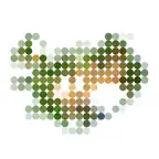 Iceland Visually iOS Icon