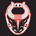 Birmingham Bulls iOS Icon