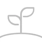 成长之树 iOS Icon