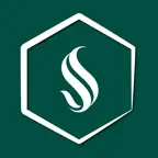 Hornet Hub iOS Icon