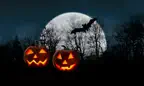 Halloween Haunted House for TV iOS Icon