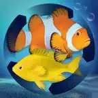 Fish Farm Merge iOS Icon