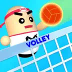 Play Volleyball 2020 iOS Icon