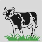 Yem Analiz iOS Icon
