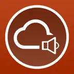 Audio Stream Player Icon