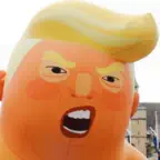 Orange Genius iOS Icon