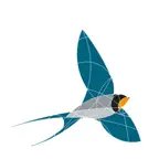 Avimap Icon