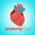 Anatomy and Physiology Quiz. iOS Icon
