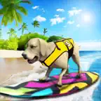 Dog Surfing Championship 2020 iOS Icon