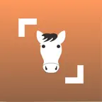 Horse Scanner iOS Icon