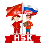 HSK список слов и флэшкарточки iOS Icon
