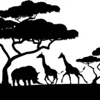 Holcim Savanna iOS Icon