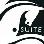 ePalatine Suite Mobile iOS Icon