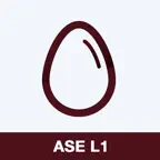 ASE L1 Practice Test Prep iOS Icon