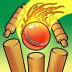 Real Cricket Bowling Practice iOS Icon