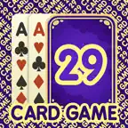 29 Card Game * PLUS iOS Icon