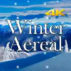 Winter Aereal iOS Icon