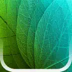 Plants Disease Identification iOS Icon