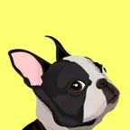 EveryDoggy - Dog Training App iOS Icon
