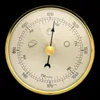 Professional Barometer icon