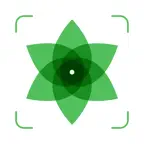 Plant Identification ++ iOS Icon