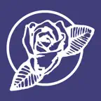 Whiterose Drycleaners iOS Icon