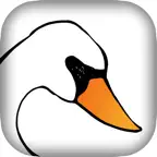 The Unfinished Swan iOS Icon