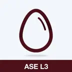 ASE L3 Practice Test Prep iOS Icon