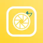 Lemonade - Family Photos iOS Icon