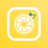 Lemonade - Family Photos