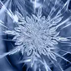 Winter Wallpapers: HD iOS Icon