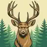 Stag Brag: Deer Scoring App