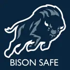 Bison Safe iOS Icon