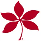 OSUWMC Bravo Icon