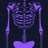 Basic Radiology
