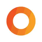 Protel Insight iOS Icon