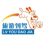 旅游到家司机端 iOS Icon