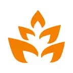 Suvridhi Capital Icon