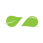 Zaatar W Zeit Canada iOS Icon