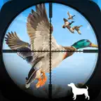Duck Hunting Wild Simulator iOS Icon