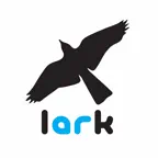 Lark AR iOS Icon