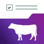 Prog. Beef Audit iOS Icon