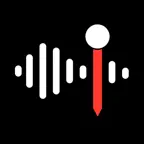 Voice Recorder with Timecodes iOS Icon
