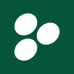 Banesco Ve iOS Icon