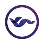 Autocontrol Plan Icon