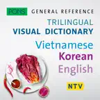 Vietnamese-Korean-English iOS Icon