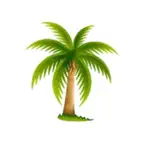 Khajoori 2 iOS Icon
